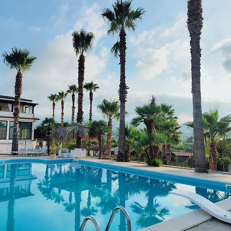 Palm House Bed & Breakfast Lamezia Terme Luaran gambar